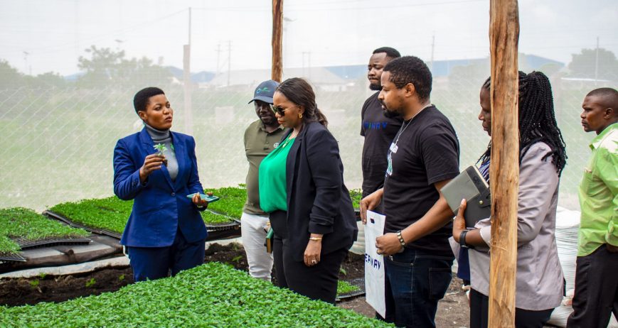 Tanzania Sustainable Soybean Initiative (TSSI)