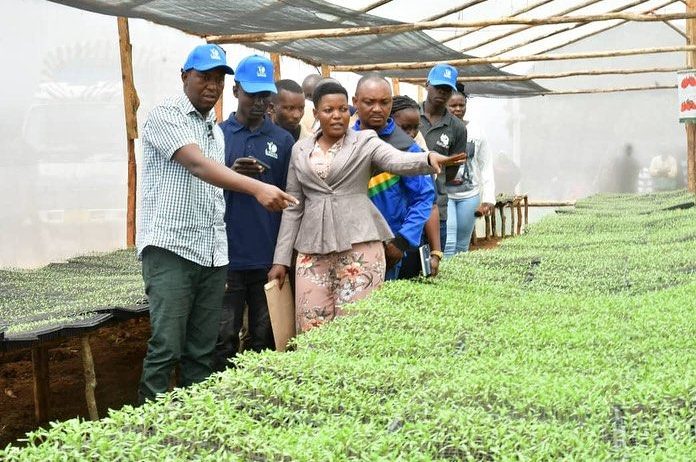 Cultivating organic vegetables through eco-friendly farming and mindful stewardship.