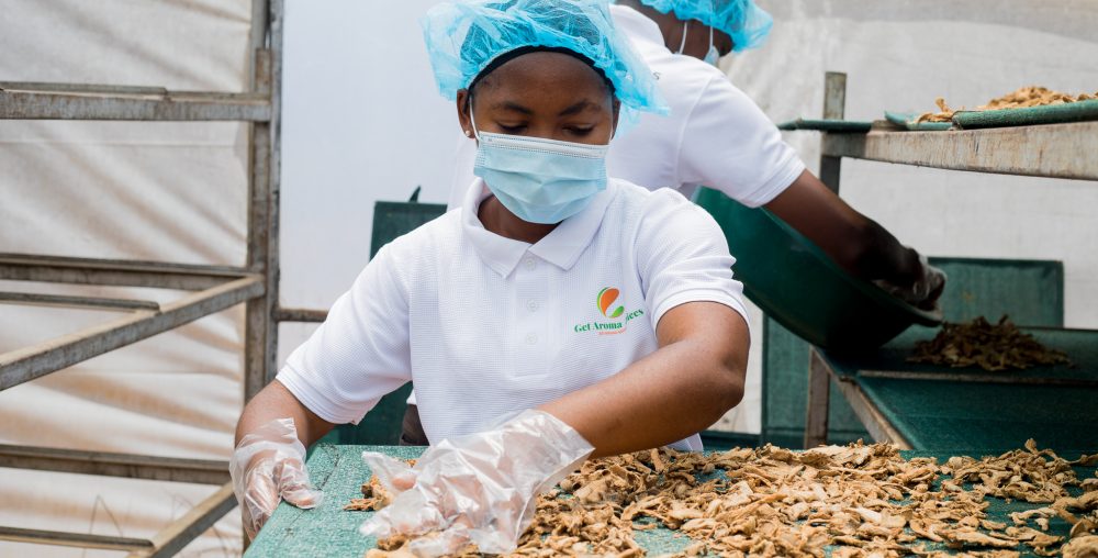 Empowering local growers to harvest healthy produce and promote a sustainable future.